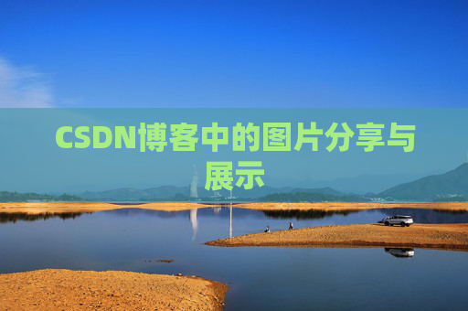 CSDN博客中的图片分享与展示